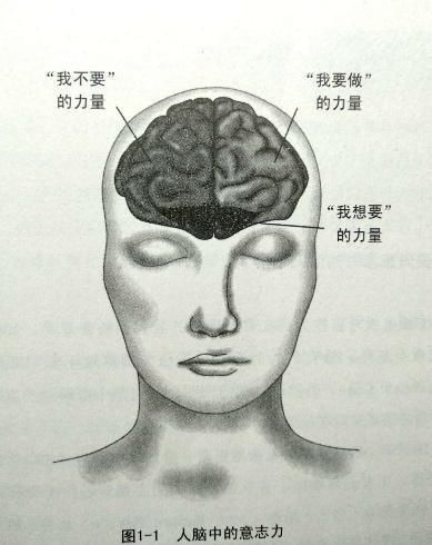  出轨|《三十而已》：顾佳这么优秀，老公为什么还要出轨？