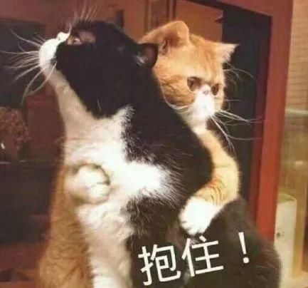  感动|司机开“火车”冲出闹市，背后的原因让人感动 | 沸话