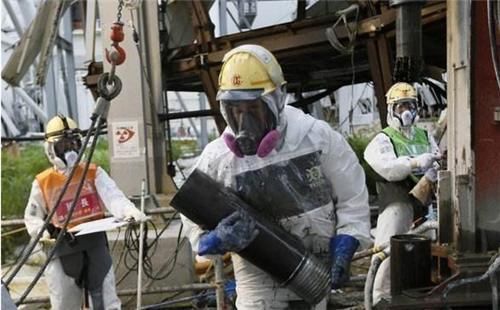  照顾|他不顾家人阻拦，进入福岛核辐射区照顾变异动物6年，如今怎样了