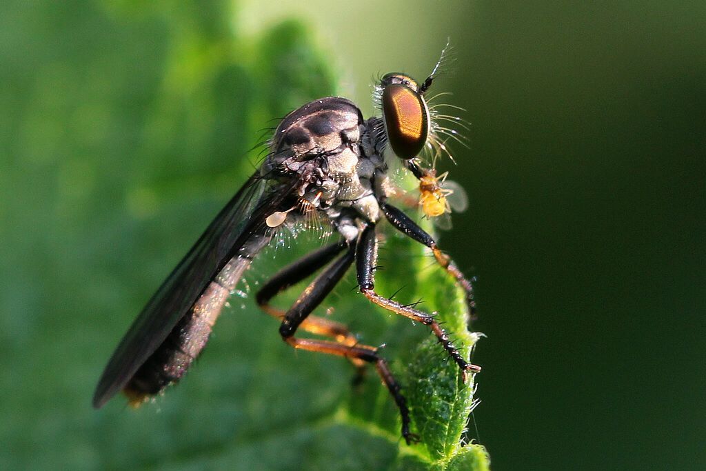  湘湖|杭州小伙去湘湖走了一圈，双腿被咬成这样！最近多人中招