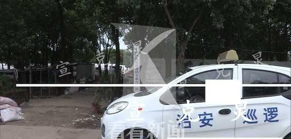  意外发生后|养鸡场主人疑触电身亡 2万只鸡遭殃一半已被热死