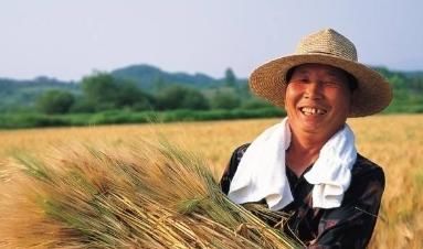 农村地区|农民夫妻之间聚少离多，为什么离婚率却很低？男人的回答很现实！