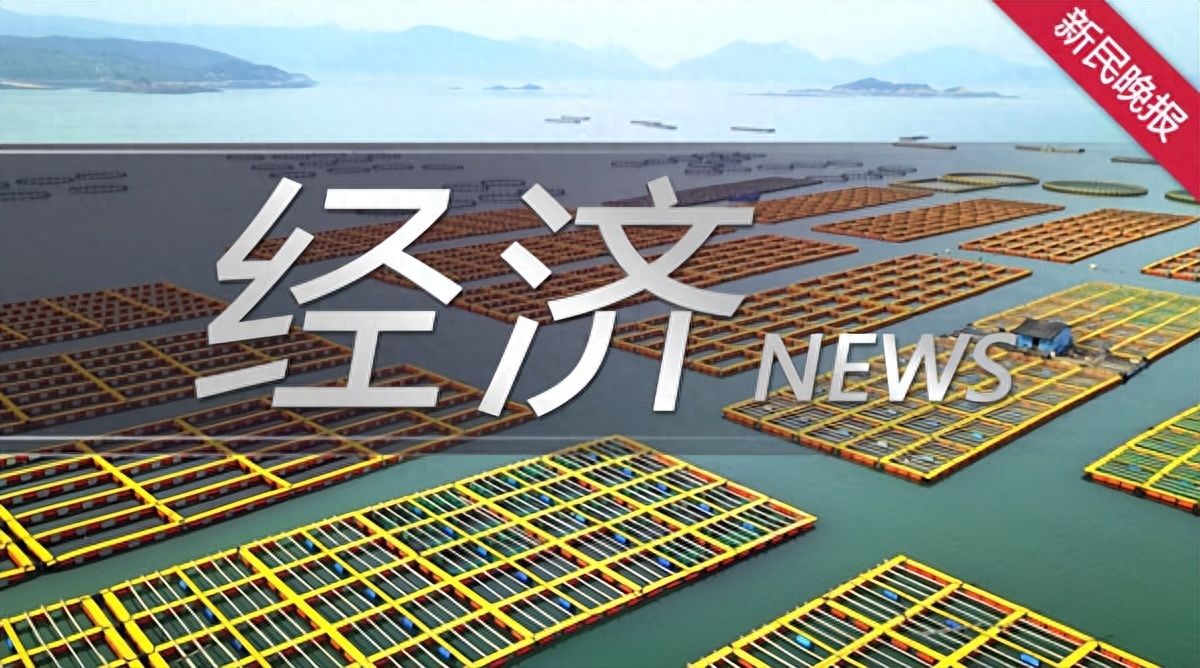 推动共建“一带一路” 专家：产业链建立起来 供应链完善起来