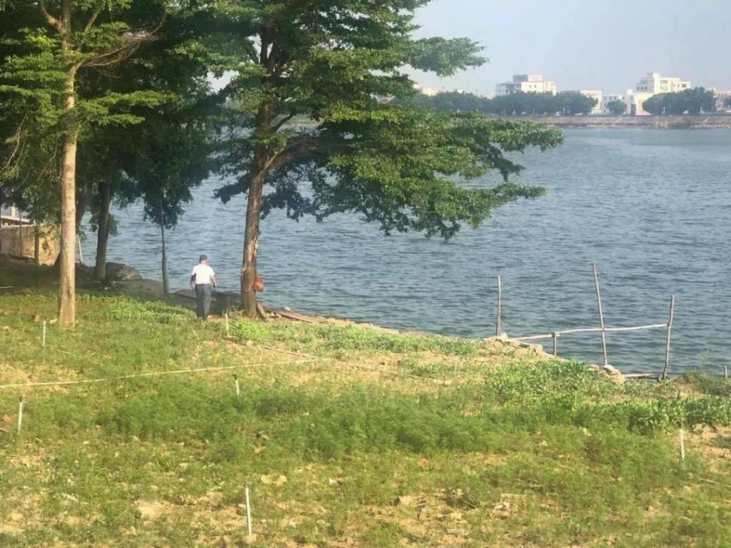  危险|那么多警示牌告诉你 “野泳”危险！为何总是看不见？