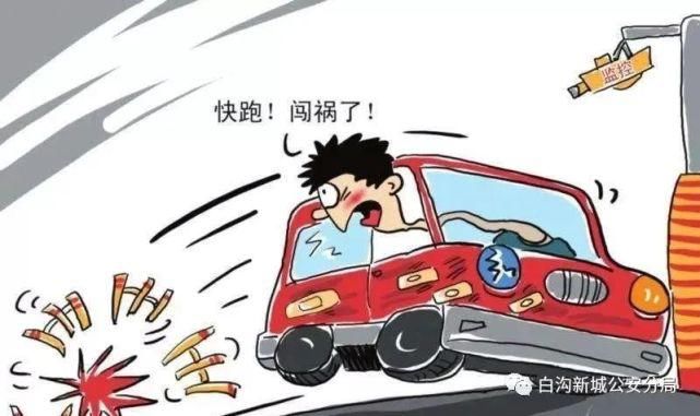  破案|周边丨白沟一女子深夜被撞身亡，警方快速破案！