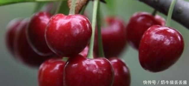 凉拌|皮蛋别再去凉拌了,教你个新鲜吃法,皮蛋更香更入味,吃了还想吃