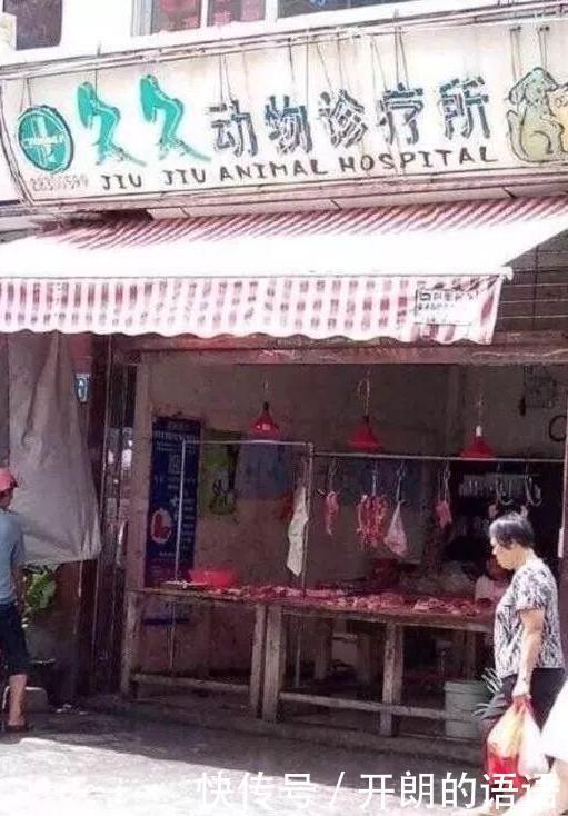 搞笑|海鸥:不就是给自己镀了个金么,大惊小怪什么?哈哈哈哈哈这也太搞笑了!