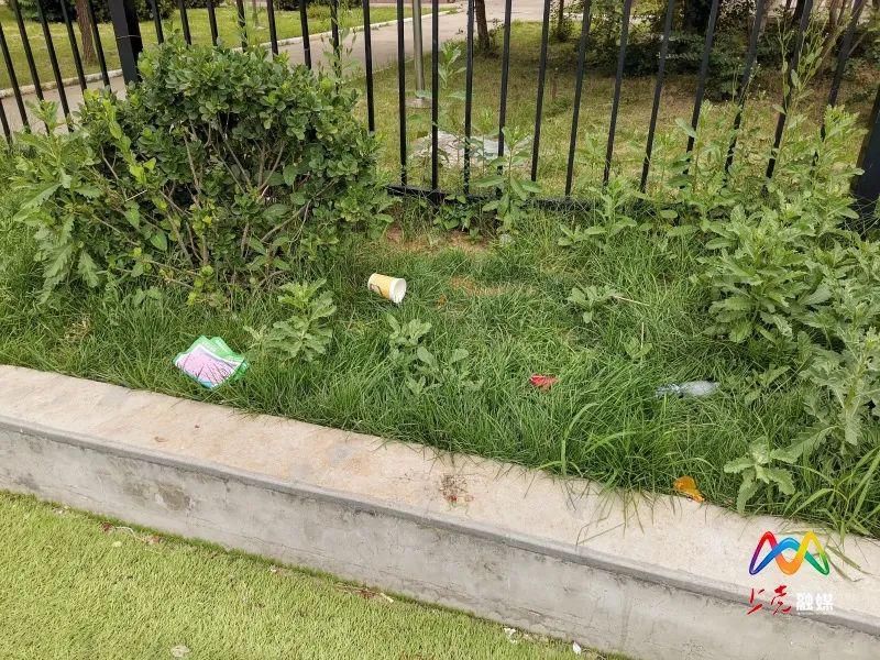  为啥|文明创城丨这个小球场为啥没人打扫？