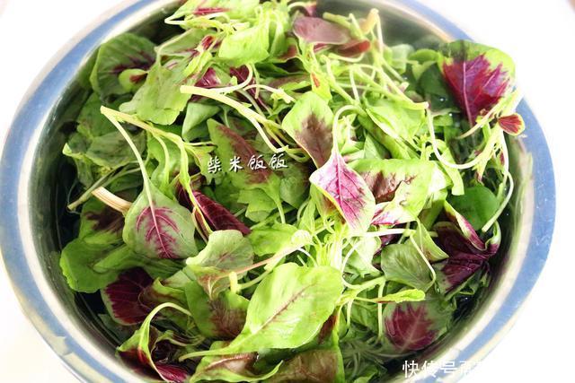  吃饺子|入伏吃饺子，韭菜芹菜不如这菜，钙和铁丰富，现在吃正当时