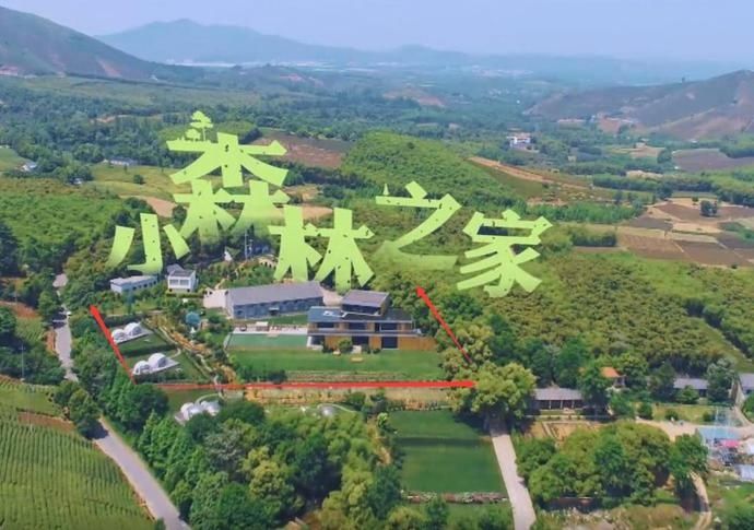  吴奇隆|吴奇隆综艺首秀住森林别墅，占地千平依山傍水，节目组真斥巨资了