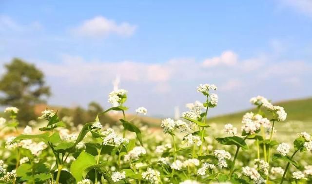  理智|人生感悟：越是在这三件事上“绝情”的人，越有福气