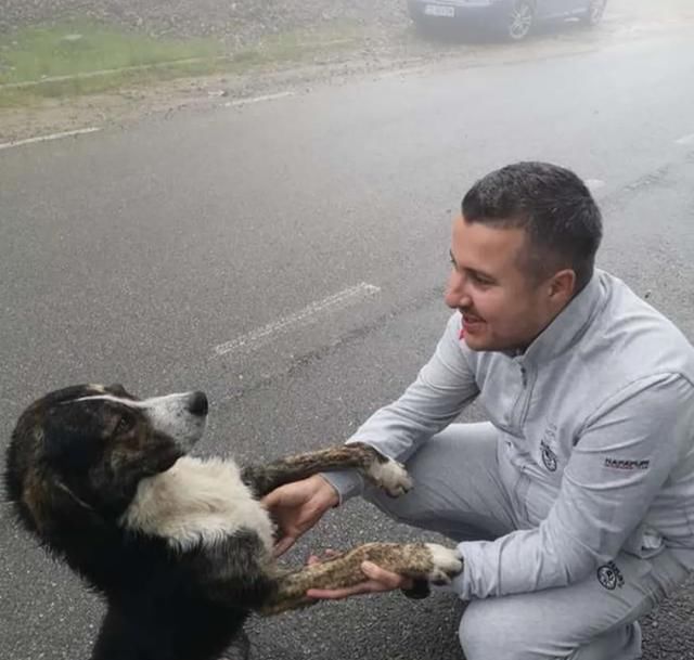 山区|越野选手山区不慎跌断骨，流浪狗一个举动救了他一命