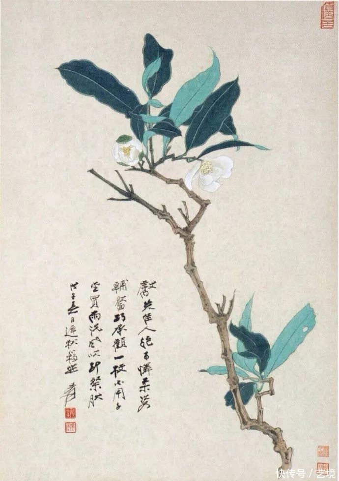 张大千花鸟画欣赏（100幅）