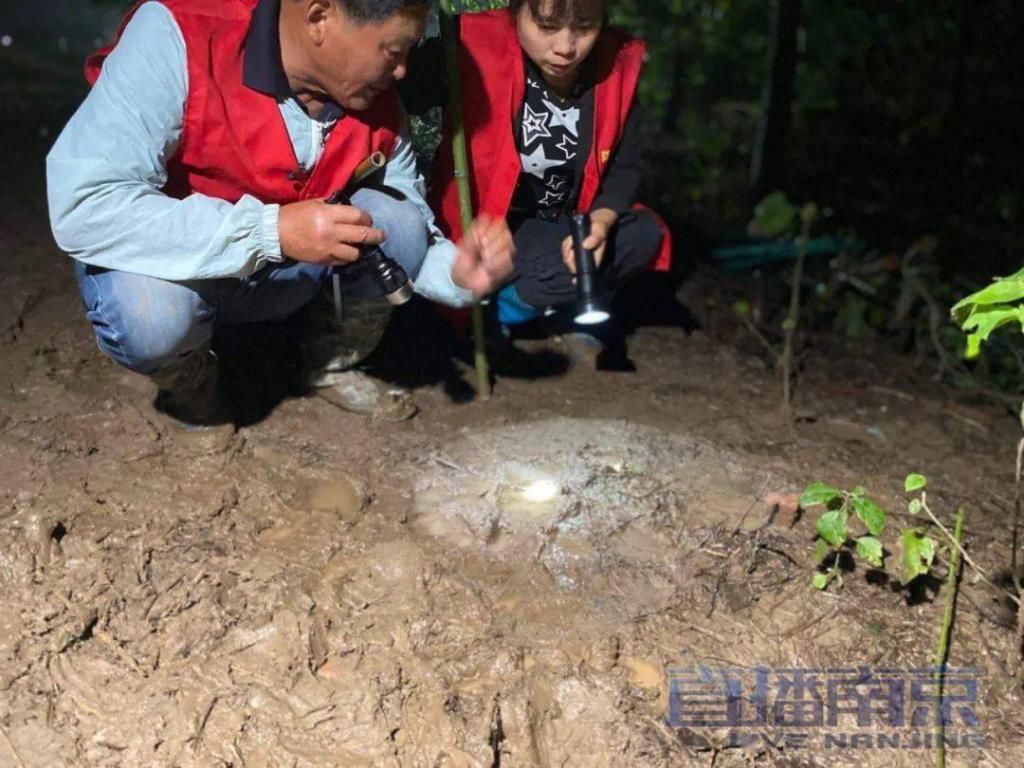 再次|第41天梅雨,水位再次刷新历史记录……