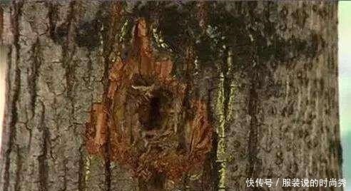 有名|历史上有名的巧合事件,一件比一件离奇,让人拍案叫绝