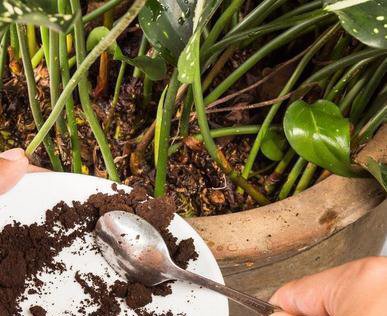  方法|无机肥用久了，土壤容易变“硬块”怎么办？教你3个“方法”解决