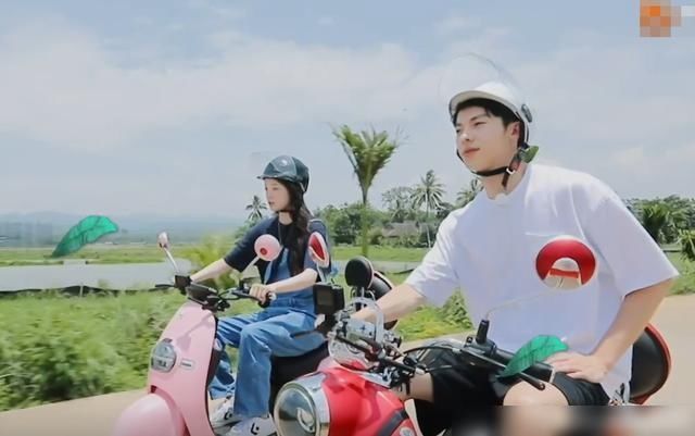 下期|《向往4》放大招,下期嘉宾颜值超高!同框画面像极了偶像剧