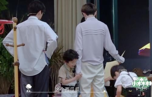  是装不|郑爽破坏节目组规则，有谁注意张新成说了啥？喜欢是装不出来的