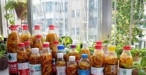  毛病|养花时间长了，就会有这4种“毛病”，你占了几种？