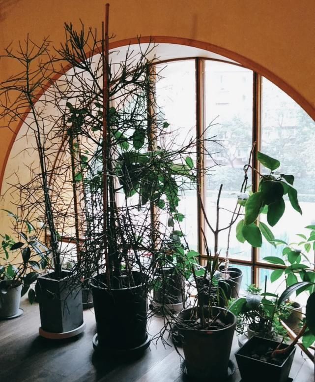 美食|丽都美食大搜罗!快来看看搬去新办公区吃什么~