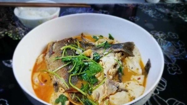  新鲜的鲫鱼|这鱼再贵也要给孩子吃，钙含量极高，常吃长高个，做法简单还下饭