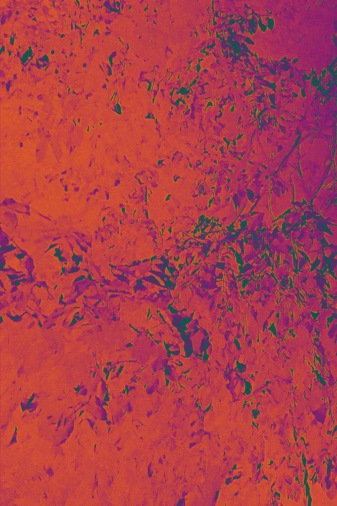  赛级|赛级摄影作品讲述的也不过是不同的生活罢了