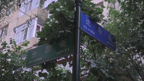  郭平宇|一场疾风暴雨，大树倾倒，树下货车被砸了！