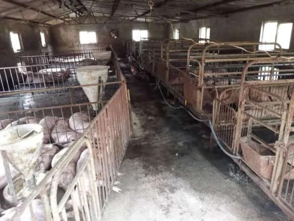  没拿到|悲剧！青岛一对母子触电身亡，儿子刚刚20岁，还没拿到毕业证