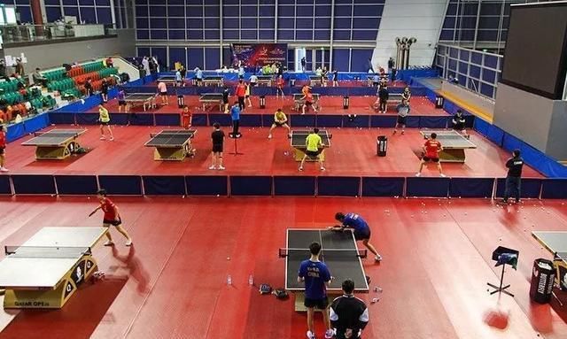  再度|丁宁刘诗雯双双退赛，及时发文回应，许昕再度受到影响