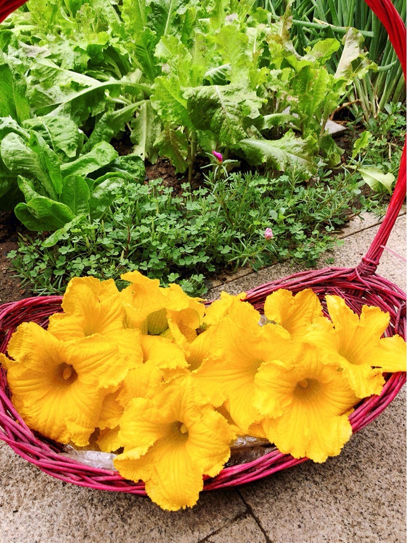  常见|农村常见的花，摘下来还能做菜吃，味道比鸡肉还鲜美
