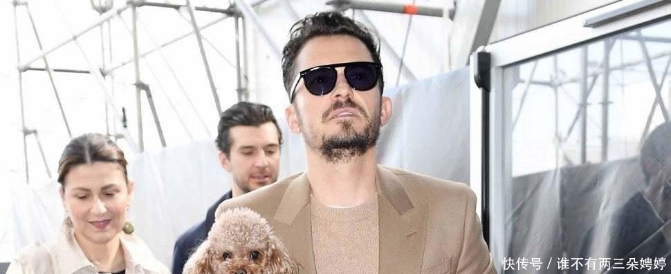  奥兰多|经过7天搜寻，奥兰多布鲁姆宣布失踪的狗已经死亡，只找到了项圈