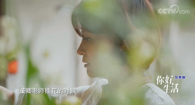  生活|这档被埋没的神仙综艺，值一个热搜！董卿插花比主持更美