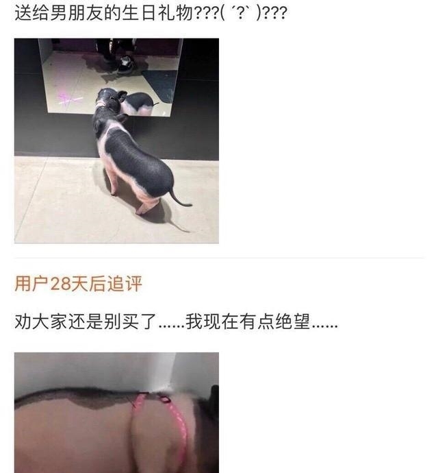  买家|经典淘宝卖家秀与买家秀, 不笑算我输! 我都流泪了