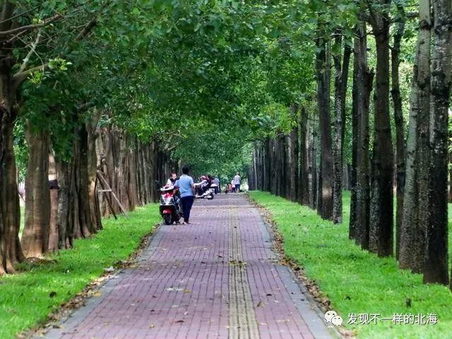 感觉|北海新发现:这个网红公园太漂亮了,感觉到了欧洲