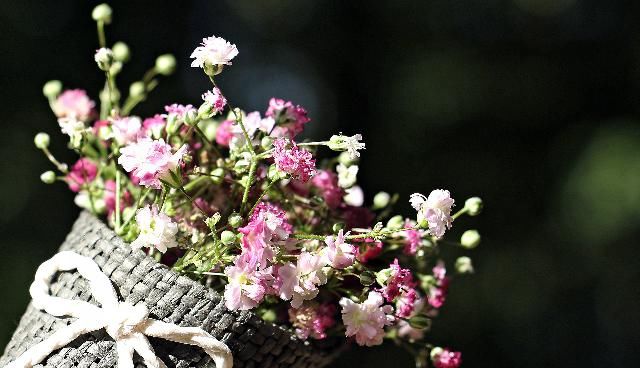  运势|本周运势不错，离成功越来越近，会收获幸福的三大生肖