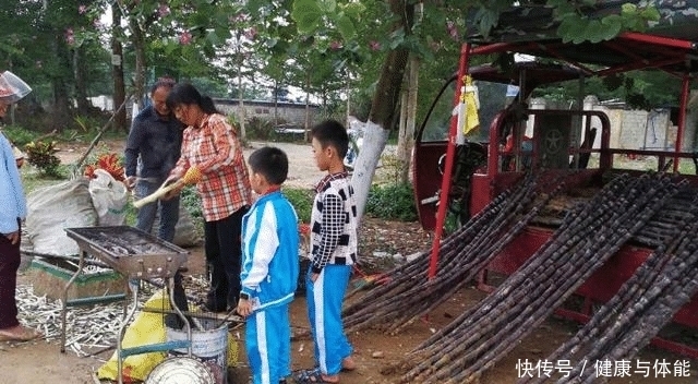  总算|水果店中不常见甘蔗，路边小商贩却卖得开心？总算知道为何了