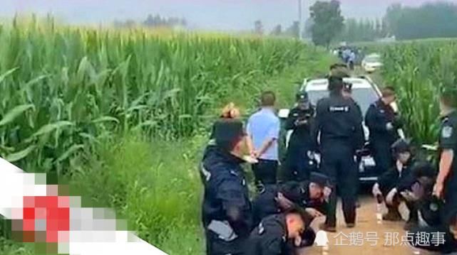  女友|河北特大绑架杀人案真相：老实男欠10万赌债与女友合谋，行凶后还正常上班