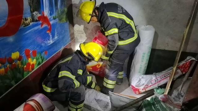  出动|家里来了不速之客，看着怪吓人的！消防出动了