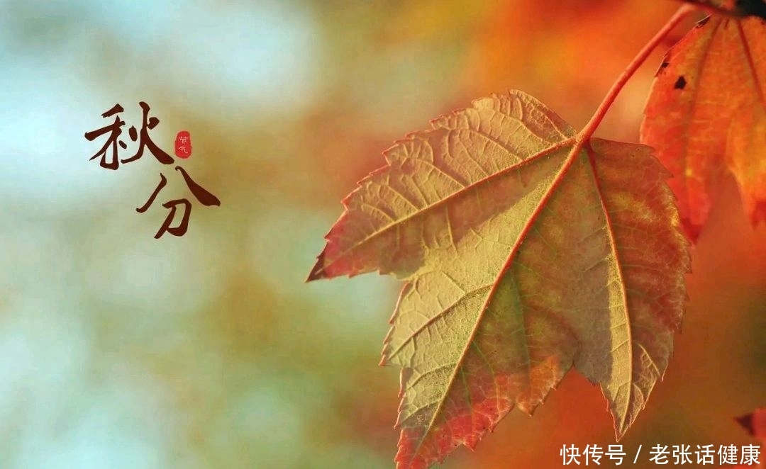 秋分到了，聪明女人都给自己准备4种“滋补”茶，对身体好去秋燥2023