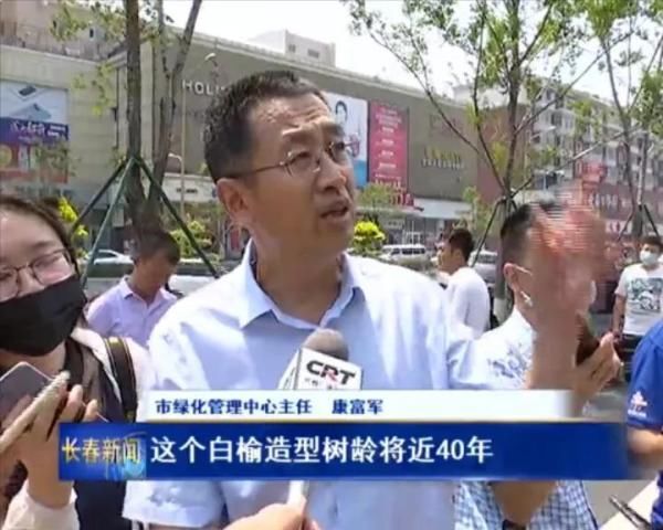 绿色|“拆围透绿”让长春市民共享绿色美好生活