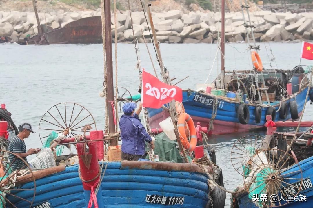 海鲜|今天开海！渔船回来啦！看看都有啥