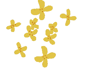 秋天|当桂花“遇见”美食,一顿桂花宴让你“吃掉”整个秋天!