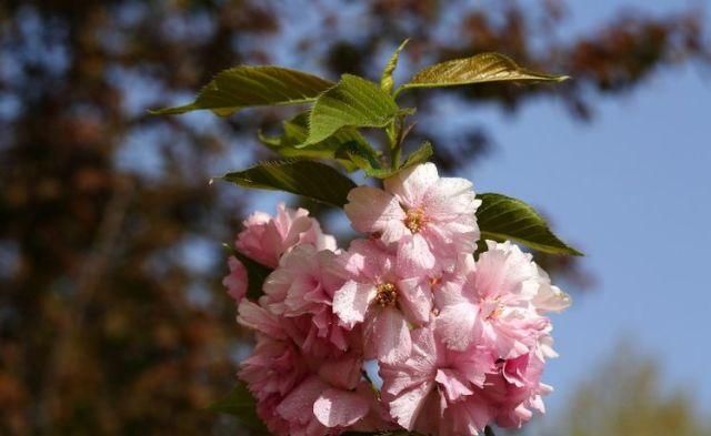  无拘无束|12生肖：活得潇洒自在，无拘无束，从不在意他人眼光的4大生肖！