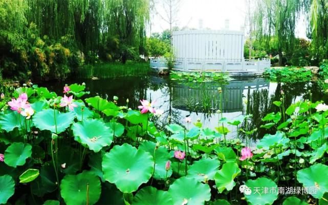  游乐|武清南湖十一攻略