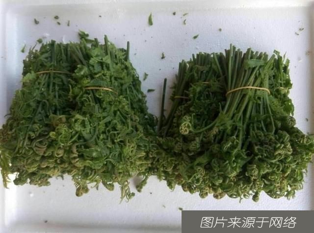  早好|女性推荐多吃3种食物，排毒养颜、改善体质，早吃早好！