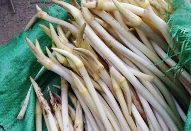 特别|北方人很多都不认识,在南方却特别流行的蔬菜,你们吃过几种