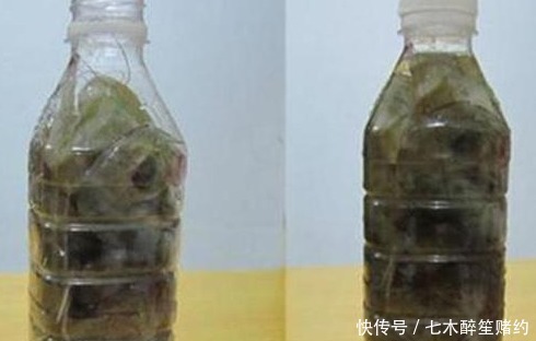  渔民|保存大虾时，直接放冰箱是不对的，老渔民教你一招，放1年都新鲜