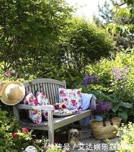 暮年|你我暮年,有个小院,足矣!