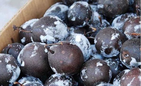 雪糕|东北人不可缺的“4大冻”,雪糕属于最低级,图4南方人见了就牙疼