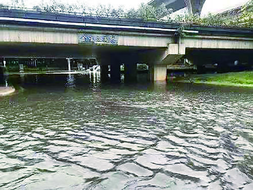  暴雨|暴雨来袭，全城行动